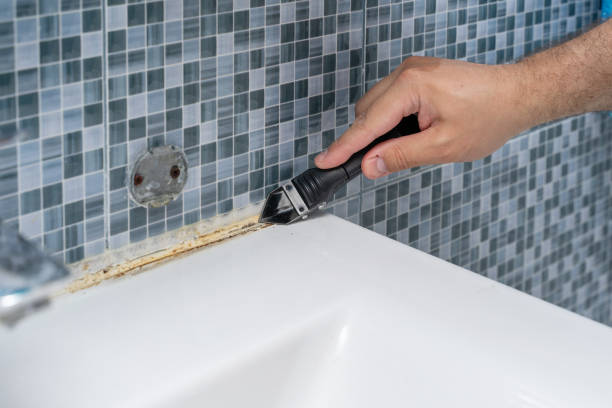 Best Health and Safety Mold Remediation in Crystal City, MO